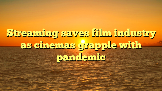 Streaming saves film industry as cinemas grapple with pandemic 